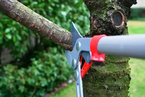 tree services Wagener